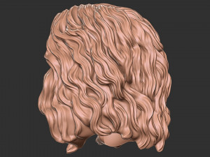 Hair 46 3D Print Model
