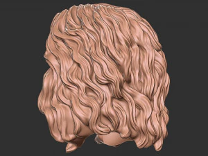 Hair 46 3D Print Model