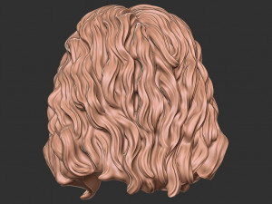 Hair 46 3D Print Model