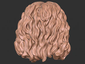 Hair 46 3D Print Model