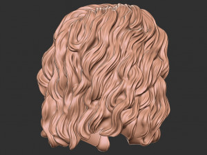 Hair 46 3D Print Model