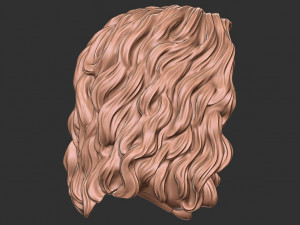 Hair 46 3D Print Model