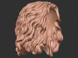Hair 46 3D Print Model
