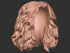 Hair 46 3D Print Model