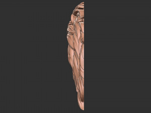 3D Roar lion 3D Принт Модель