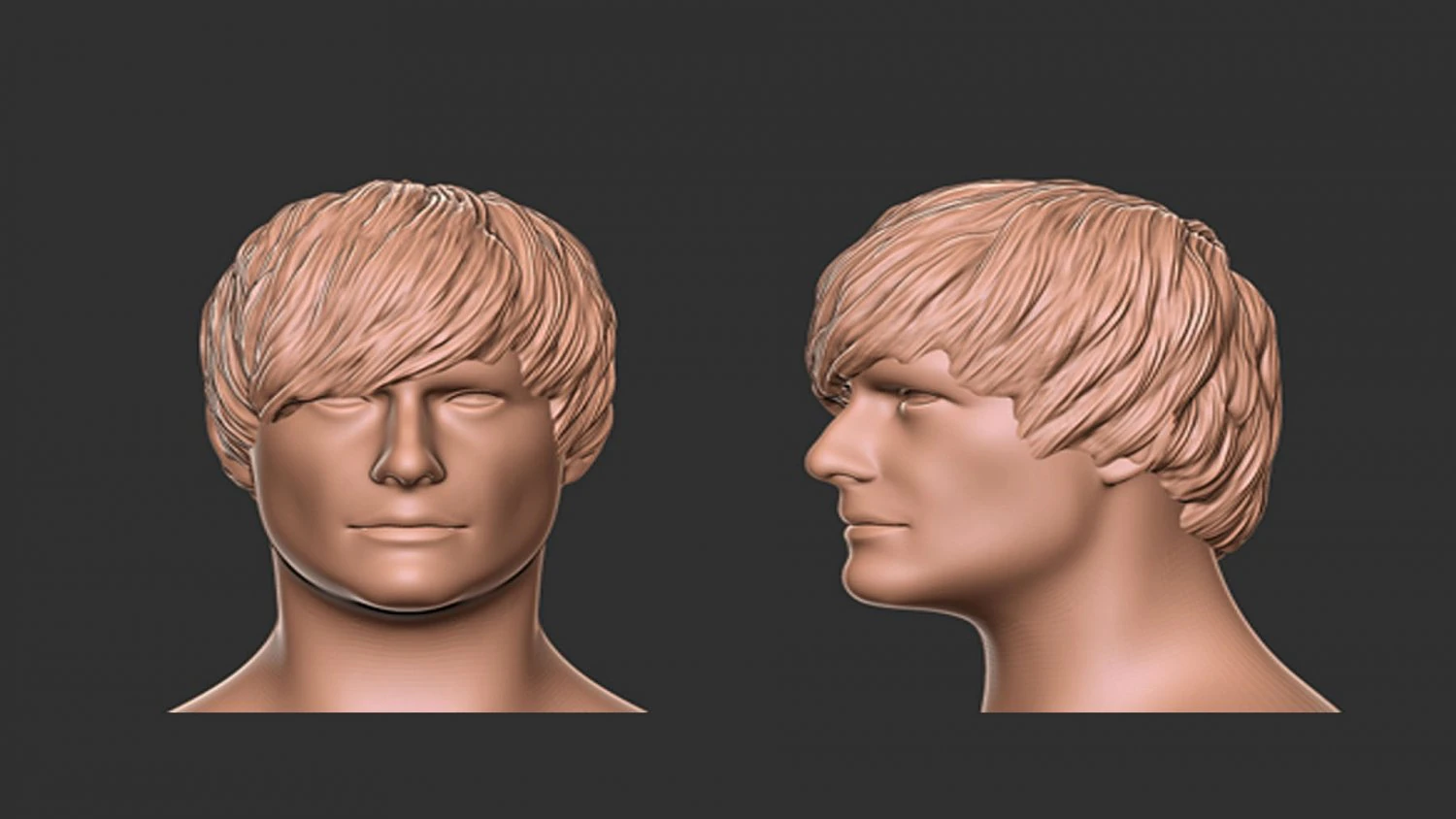 Hair 47 3D Print Model .c4d .max .obj .3ds .fbx .stl .blend 