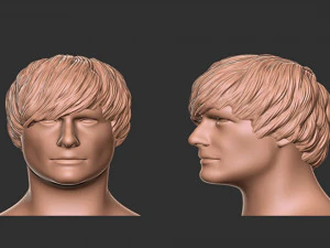 Волосы 47 3D Принт Модель