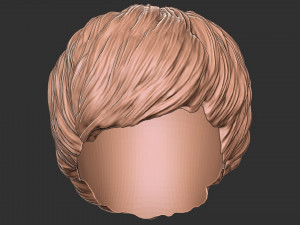 Saç 47 3D Baskı Modeli