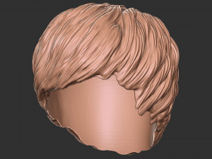 Saç 47 3D Baskı Modeli