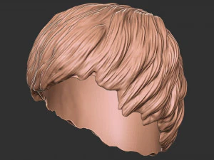 Hair 47 3D Print Model
