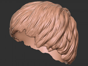 Saç 47 3D Baskı Modeli