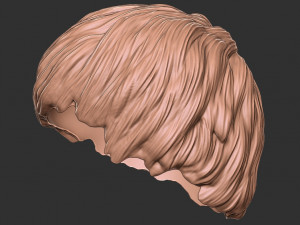 Saç 47 3D Baskı Modeli