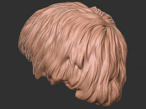 Hair 47 3D Print Model