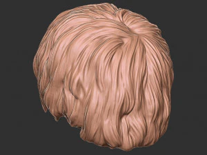 Hair 47 3D Print Model