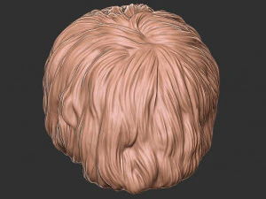 Hair 47 3D Print Model
