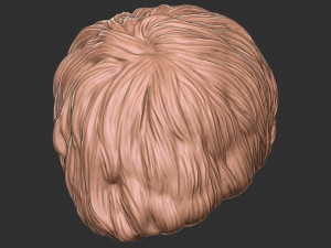 Saç 47 3D Baskı Modeli