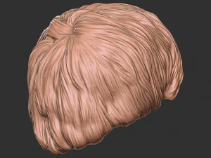 Hair 47 3D Print Model