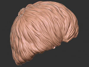 Hair 47 3D Print Model