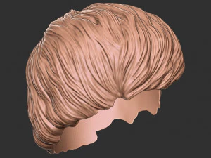 Hair 47 3D Print Model