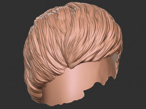 Saç 47 3D Baskı Modeli