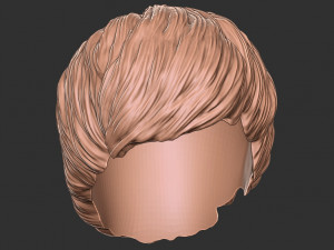 Saç 47 3D Baskı Modeli