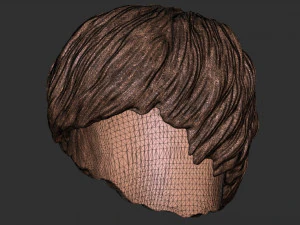 Hair 47 3D Print Model