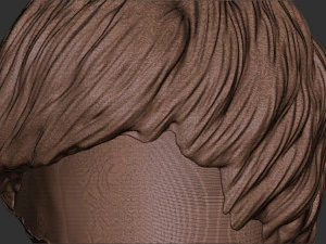 Hair 47 3D Print Model