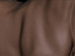 Horse print 3D Print Model