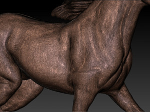 Horse print 3D Print Model