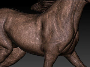 Horse print 3D Print Model