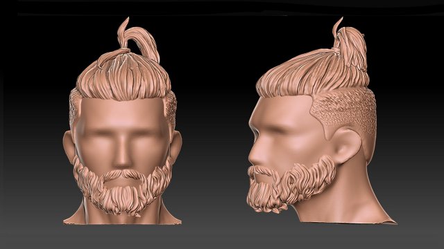 Hair 48 3D-Druckmodell .c4d .max .obj .3ds .fbx .stl .blend 