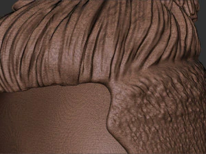 Capelli 48 Modello di stampa 3D