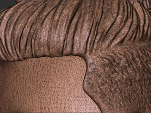 Capelli 48 Modello di stampa 3D