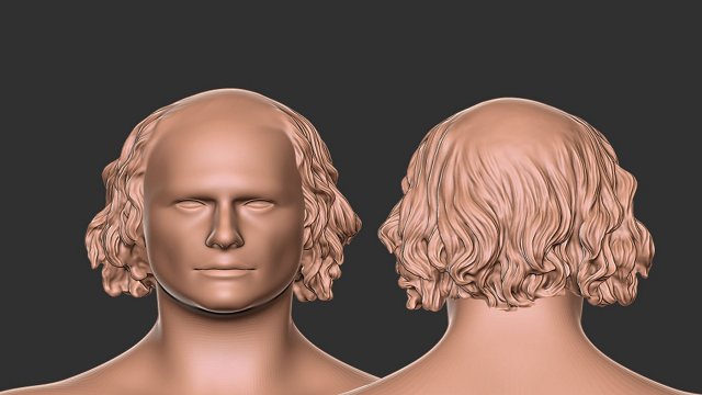 Hair 49 Modelo de Impressão 3D .c4d .max .obj .3ds .fbx .stl .blend 