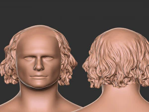 Волосы 49 3D Принт Модель