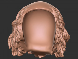 Hair 49 Modelo de Impressão 3D