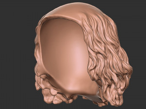 Hair 49 Modelo de Impressão 3D