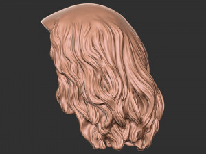 Hair 49 Modelo de Impressão 3D