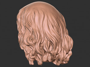 Hair 49 Modelo de Impressão 3D