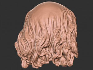Hair 49 Modelo de Impressão 3D