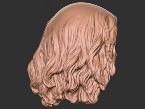 Hair 49 Modelo de Impressão 3D