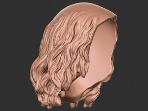 Hair 49 Modelo de Impressão 3D