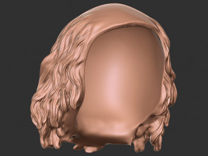 Hair 49 Modelo de Impressão 3D