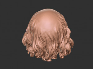 Hair 49 Modelo de Impressão 3D