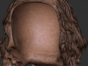 Hair 49 Modelo de Impressão 3D