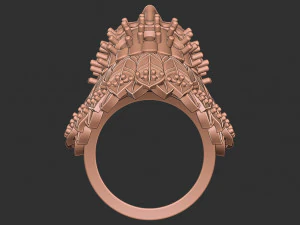 3D Native indian ring 3D Print Model