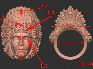 3D Native indian ring 3D Print Model