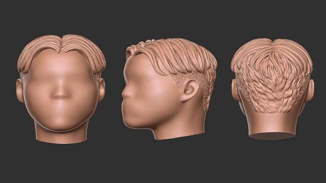 Hair 50 3D-printmodel .c4d .max .obj .3ds .fbx .stl .blend 