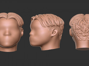 Hair 50 3D Print Model