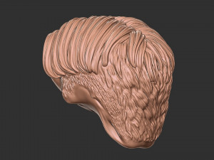 Hair 50 3D-printmodel